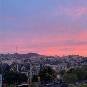 Meet your Posher, Daisy